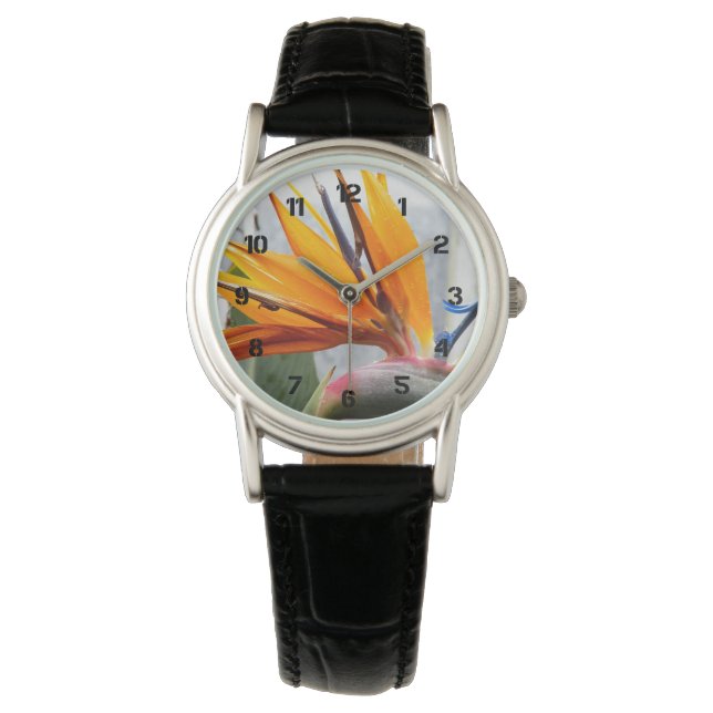 Reloj De Pulsera Ave tropical de Paraíso Floral (Anverso)