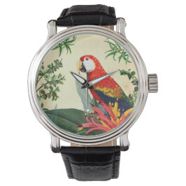 RELOJ DE PULSERA AVE TROPICAL PARROT 8