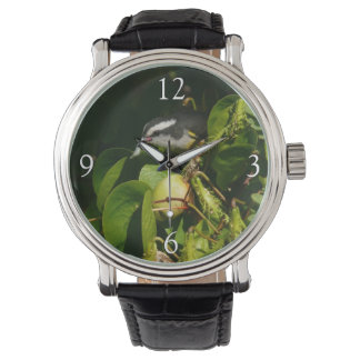 Reloj De Pulsera Aves Bananaquit comiendo fotografía tropical