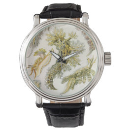 Reloj De Pulsera Babosas marinas de Ernst Haeckel, Nudibranchia vin