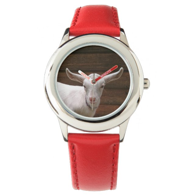 Reloj De Pulsera Baby Goat Kids Watch (Anverso)