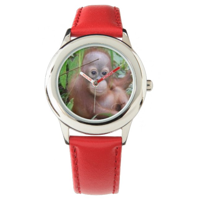 Reloj De Pulsera Baby Orangutan Steppenwolf (Anverso)