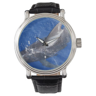 Reloj De Pulsera Ballena piloto en Hawái