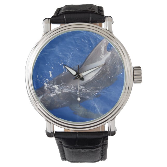 Reloj De Pulsera Ballena piloto en Hawái (Anverso)