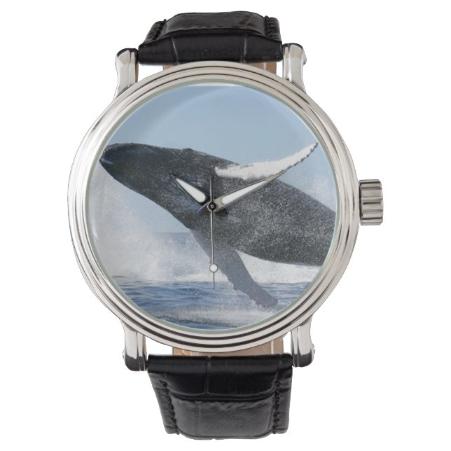 Reloj De Pulsera Ballenas jorobadas saltando alto (Anverso)