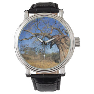 Reloj De Pulsera Baobab (Adansonia Digitata), Parque Nacional Kruge