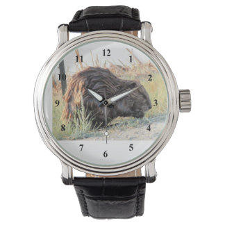 Reloj De Pulsera Beaver