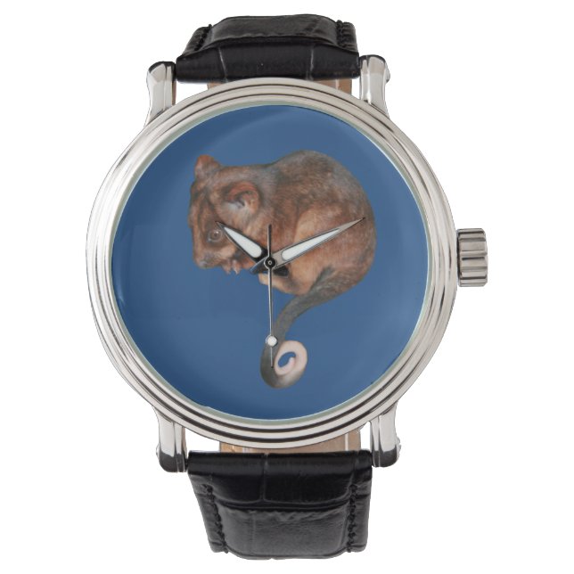 Reloj De Pulsera Bebé Adorable Ringtail Possum en Australia (Anverso)