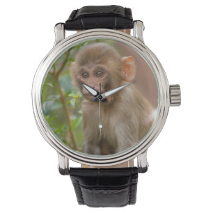 Reloj De Pulsera Bebé de mono Rhesus, templo de mono, Jaipur