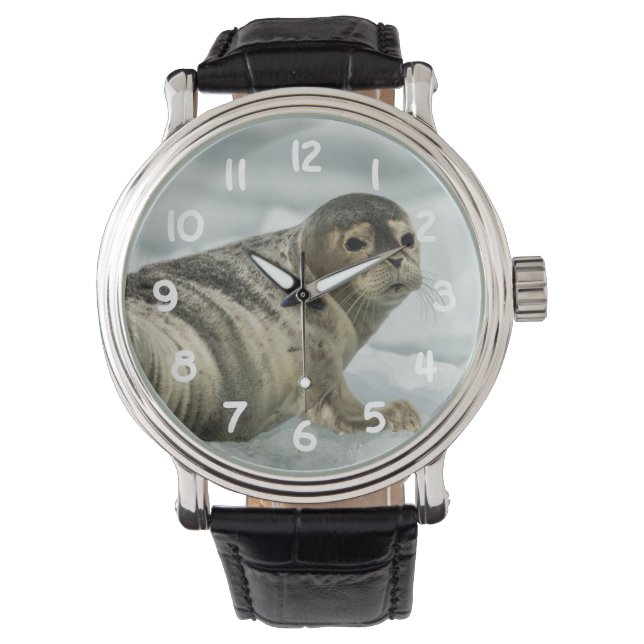 Reloj De Pulsera Bebé Foca Preciosa (Anverso)