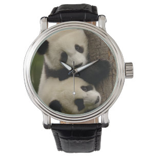 Reloj De Pulsera Bebés de panda gigante (Ailuropoda melanoleuca) 2