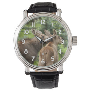 Reloj De Pulsera Becerros consolidados de los alces