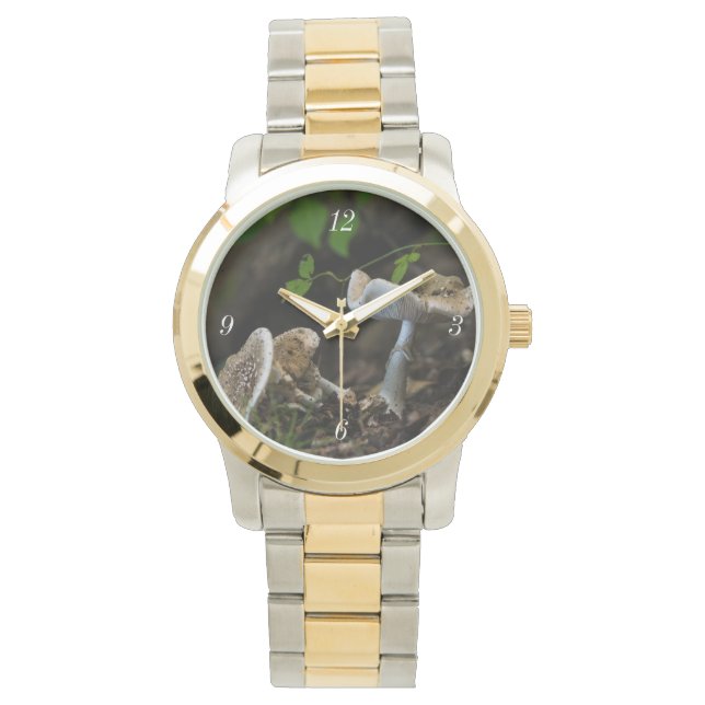 Reloj De Pulsera Belleza envenenada (Anverso)