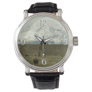Reloj De Pulsera Bison en la fotografía del parque nacional del Gra