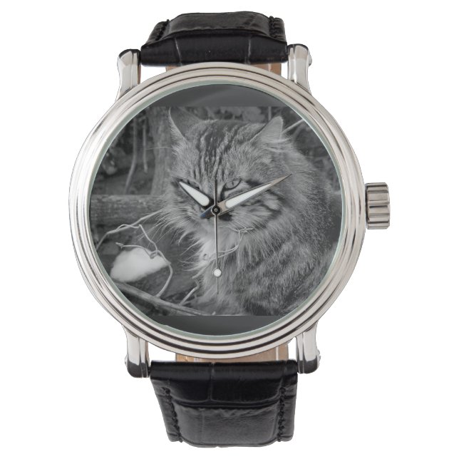Reloj De Pulsera Black Maine Coon Cat Band Watch (Anverso)
