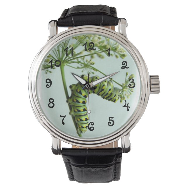 Reloj De Pulsera Black Swallowtail Caterpillar come parsley watch (Anverso)