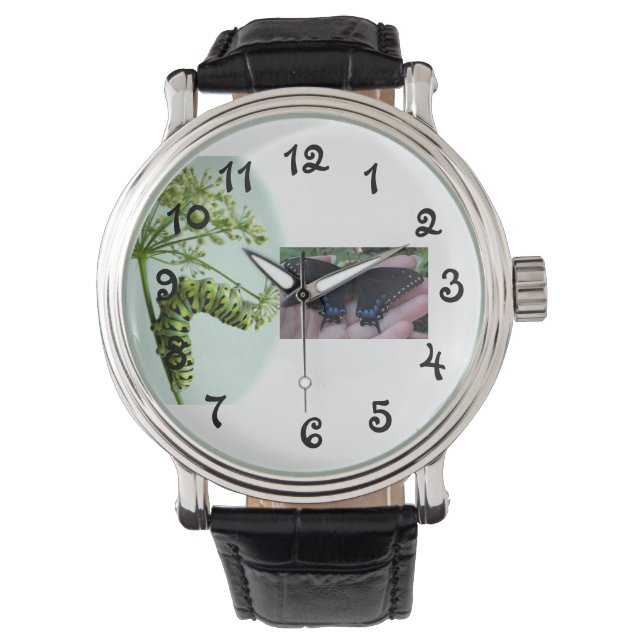 Reloj De Pulsera Black Swallowtail Caterpillar come parsley watch (Anverso)