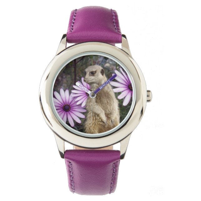 Reloj De Pulsera Bloom Curioso: Meerkat entre margaritas moradas (Anverso)