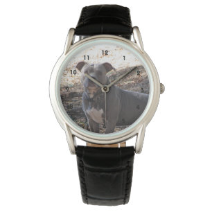 Reloj De Pulsera Blue Nose Pitbull Watch
