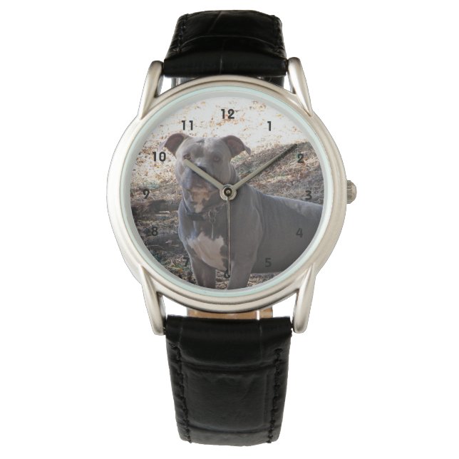Reloj De Pulsera Blue Nose Pitbull Watch (Anverso)
