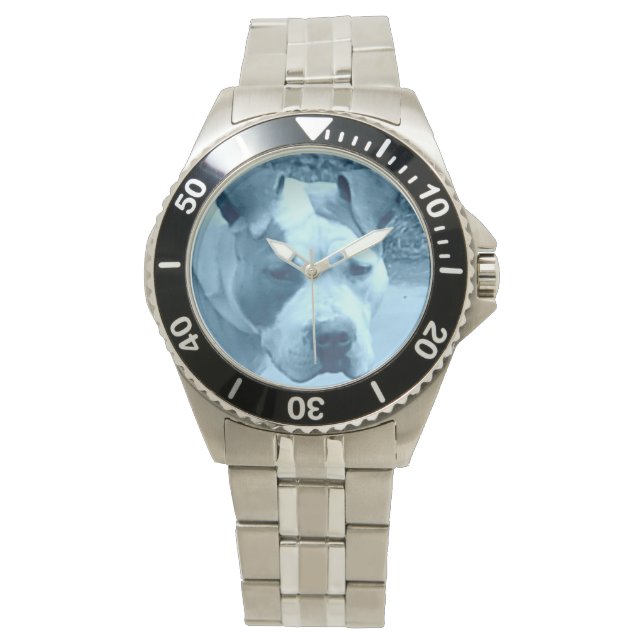 Reloj De Pulsera Blue Pit Bull Watch (Anverso)