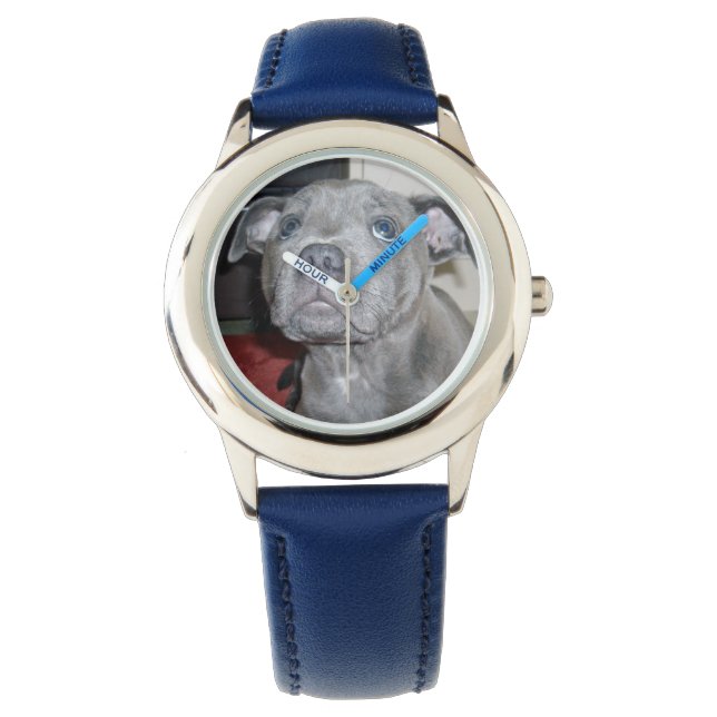 Reloj De Pulsera Blue Staffordshire Bull Terrier Puppy, (Anverso)