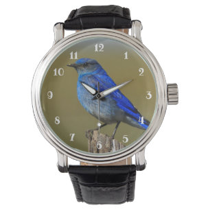 Reloj De Pulsera Bluebird de la montaña