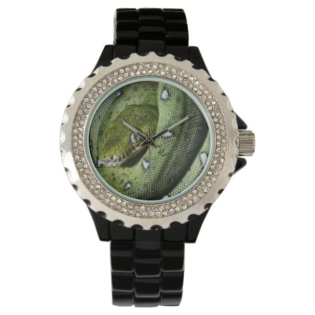 Reloj De Pulsera Boa de serpiente verde (Anverso)