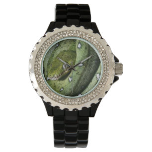 Reloj De Pulsera Boa esmeralda de la serpiente verde del árbol en
