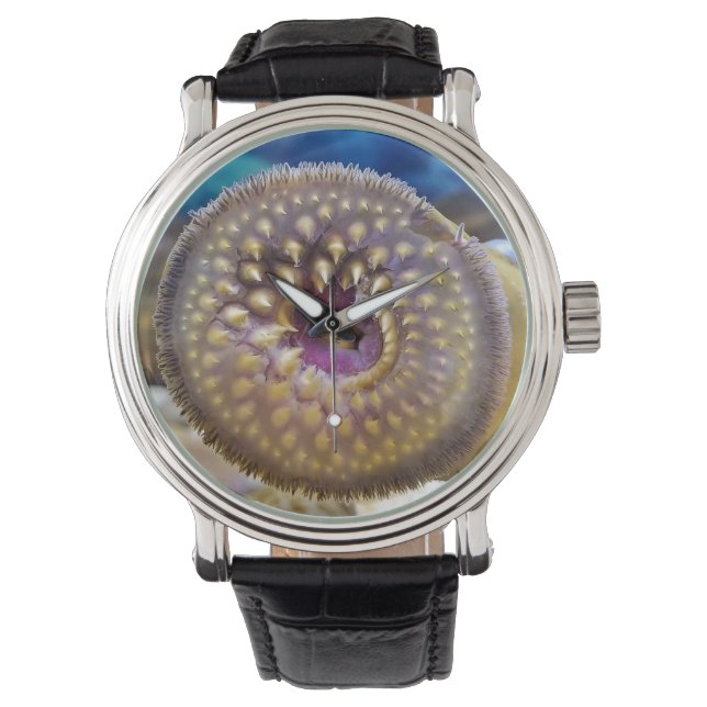 Reloj De Pulsera boca de succión de Sea Lamprey (Anverso)