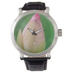 Reloj De Pulsera Bombilla sin abrir de Lily de Agua, Botánica de Du