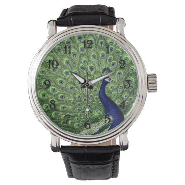 Reloj De Pulsera Bonito Peacock (Anverso)