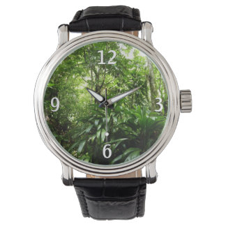 Reloj De Pulsera Bosque lluvioso dominicano I Naturaleza tropical v