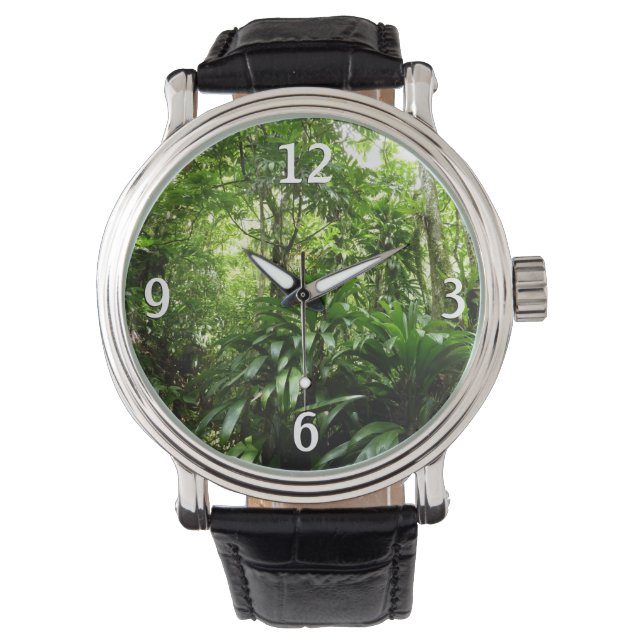 Reloj De Pulsera Bosque lluvioso dominicano I Naturaleza tropical v (Anverso)