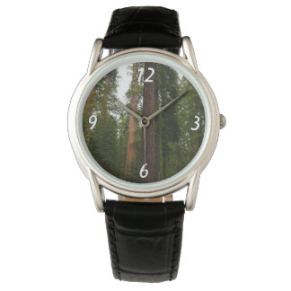 Reloj De Pulsera Bosque Mariposa en el Parque Nacional Yosemite