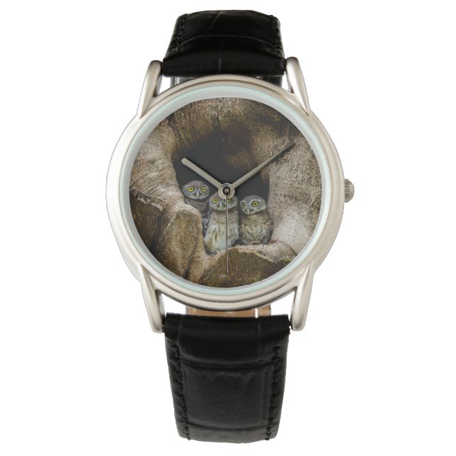 Reloj De Pulsera Bosques | Tres lechuzas con aspecto (Anverso)