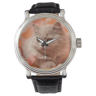 Reloj De Pulsera British shorthair, British longhair, Lila