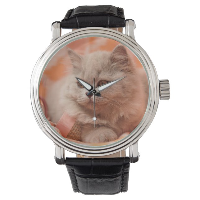 Reloj De Pulsera British shorthair, British longhair, Lilac (Anverso)