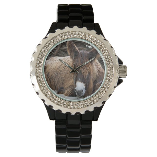 Reloj De Pulsera Brown Poitou Donkey (Anverso)