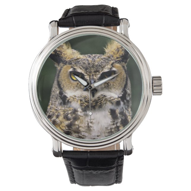 Reloj De Pulsera Búho Americano (Bubo virginianus), cuerpo completo (Anverso)