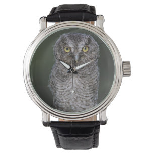 Reloj De Pulsera Búho chico, Megascops asio, Otus 2