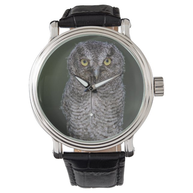 Reloj De Pulsera Búho chico, Megascops asio, Otus 2 (Anverso)