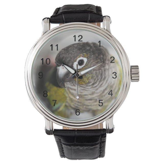 Reloj De Pulsera Burbel (Anverso)