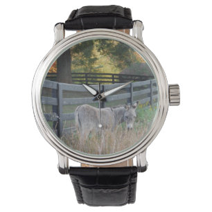 Reloj De Pulsera Burro en un campo otoñal