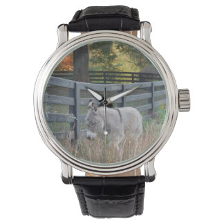 Reloj De Pulsera Burro en un campo otoñal