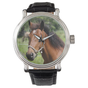 Reloj De Pulsera Caballo