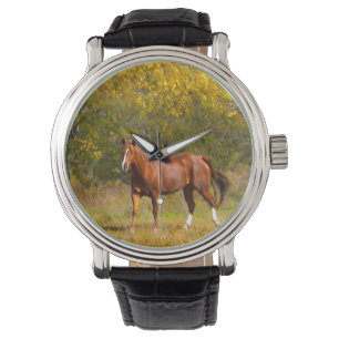 Reloj De Pulsera Caballo de castaño en otoño