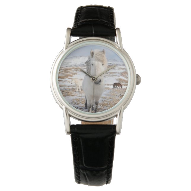 Reloj De Pulsera Caballo islandés blanco, Islandia (Anverso)