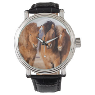 Reloj De Pulsera Caballo islandés durante invierno