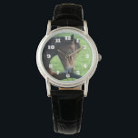 Reloj De Pulsera Caballo marrón bonito en la hierba<br><div class="desc">Un reloj con una bonita fotografía de un hermoso caballo marrón tendido en el césped, que parece tranquilo y contento.</div>